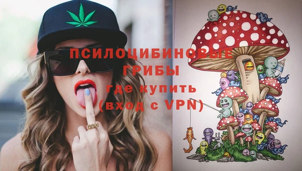 крисы Вязьма