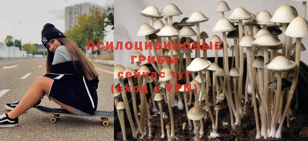 таблы Вяземский