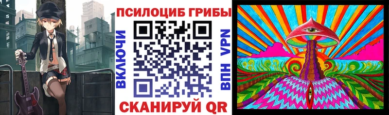 гидра tor  Короча  Псилоцибиновые грибы Psilocybe 